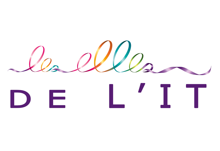 Un nouveau réseau voit le jour !  « les elles de l&rsquo;IT »